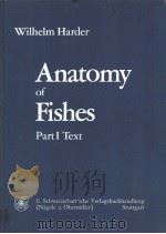 Anatomy of Fishes Part Ⅰ：Text     PDF电子版封面     