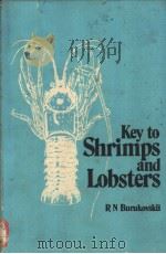 Key to Shrimps and Lobsters RUSSIAN TRANSLATIONS SERIES 5     PDF电子版封面  9061912962  R.N.BURUKOVSKII 