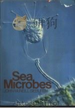 SEA MICROBES     PDF电子版封面  0195024192   