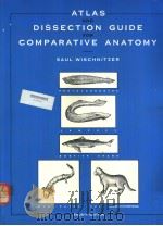 Atlas and Dissection Guide for Comparative Anatomy FOURTH EDITION     PDF电子版封面  0716718073   
