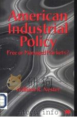 American industriad puluy     PDF电子版封面  0333682238   