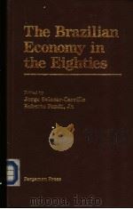 The Brazilian Economy in the Eighties     PDF电子版封面  008031953X   