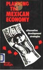 PLANNING THE MEXICAN ECONOMY ALTERNATIVE DEVELOPMENT STRATEGIES     PDF电子版封面  0312614330  JORGE BUZAGLO 