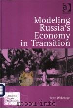 Modeling Russia's Economy in Transition（ PDF版）