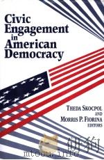Ciciv Engagement in American Democracy（ PDF版）