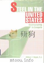 Steel in the United States：Restructuring to compete     PDF电子版封面  0669082341  William T.Hogan 