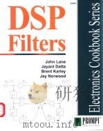 DSP Filters  by John Lane Jayant Datta Brent Karley Jay Norwood     PDF电子版封面     