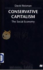 Conservative capitalism:the social economy     PDF电子版封面  0333772822   