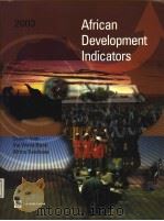 African Development Indicators 2003     PDF电子版封面     