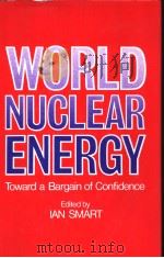 WORLD NULEAR ENERGY Toward a Bargain of Confidence     PDF电子版封面  0801826527   