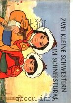 Zwei kleine Schwestern im Schneesturm   1974  PDF电子版封面     