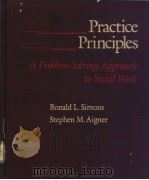 Practice Principles     PDF电子版封面     