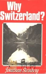 Why Switzerland？     PDF电子版封面  052128144X   