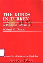 THE KURDS IN TURKEY     PDF电子版封面     