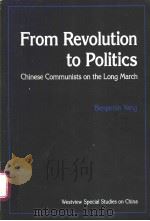 From Revolution to Politics     PDF电子版封面  0813376726   
