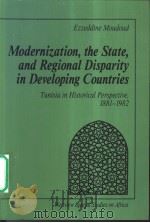 Modernization，the State，and Regional Disparity in Developing Countries     PDF电子版封面  0813377099   