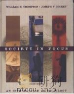 Society in focus     PDF电子版封面  0673998290   