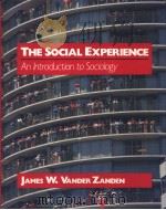 The Social Experience（ PDF版）