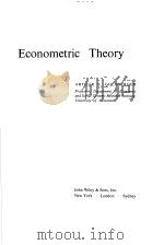 Econometric Theory     PDF电子版封面     