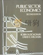 Public Sector Economics     PDF电子版封面  0316100528   