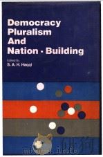 Democracy Pluralism And Nation-Building     PDF电子版封面     