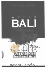 AFTER BALI（ PDF版）