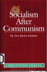 SOCIALISM AFTER COMMUNISM     PDF电子版封面  0745614582   