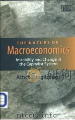 The Nature of Macroeconomics     PDF电子版封面  1840640693   
