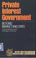 Private Interest Government     PDF电子版封面  080399723X   
