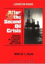 After the Second Oil Crisis     PDF电子版封面  0669045470   