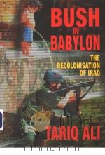 Bush in Babylon     PDF电子版封面  1859845835   
