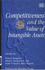 Competitiveness and the Value of Intangible Assets     PDF电子版封面     