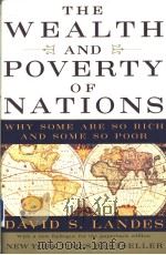 The Wealth and Poverty Of Nations Why Some Are So Rich and Some So Poor DAVID S LANDES     PDF电子版封面     