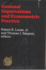 Rational Expectations and Econometric Practice（ PDF版）