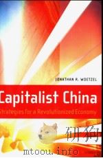 Capitalist China（ PDF版）