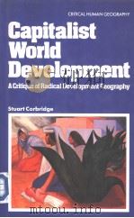 Capitalist World Development     PDF电子版封面  0333324056   