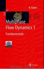 Multiphase flow dynamics  一     PDF电子版封面     