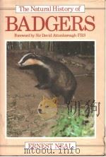 The Natural History of Badgers     PDF电子版封面  0816014094   