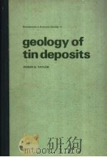 geology of tin deposits     PDF电子版封面     