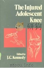 The Injured Adolescent Knee（ PDF版）