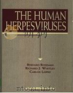 THE HUMAN HERPESVIRUSES     PDF电子版封面  0781700248   