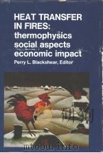 HEAT TRANSFER IN FIRES：thermophysics social aspects economic impact     PDF电子版封面     
