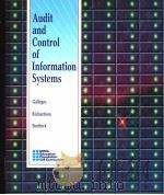 Audit and Control of Information Systems（ PDF版）