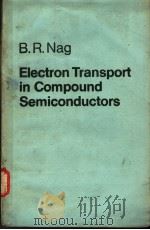 Electron Transport in Compound Semiconductors（ PDF版）