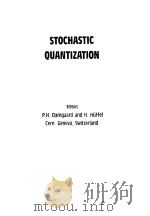 STOCHASTIC QUANTIZATION     PDF电子版封面     