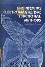 ENGINEERING ELECTROMAGNETISM：FUNCTIONAL METHODS     PDF电子版封面  0132762471   
