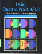 Using Quattro Pro 2.0/3.0     PDF电子版封面  0070575886   