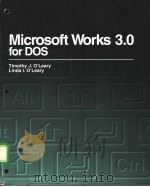 Microsoft Works 3.0 for DOS     PDF电子版封面  0070489882   