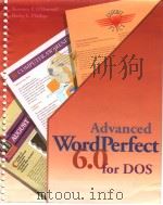 Advanced WordPerfect 6.0 for DOS（ PDF版）