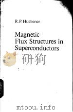 Magnetic Flux Structures in Superconductors     PDF电子版封面     